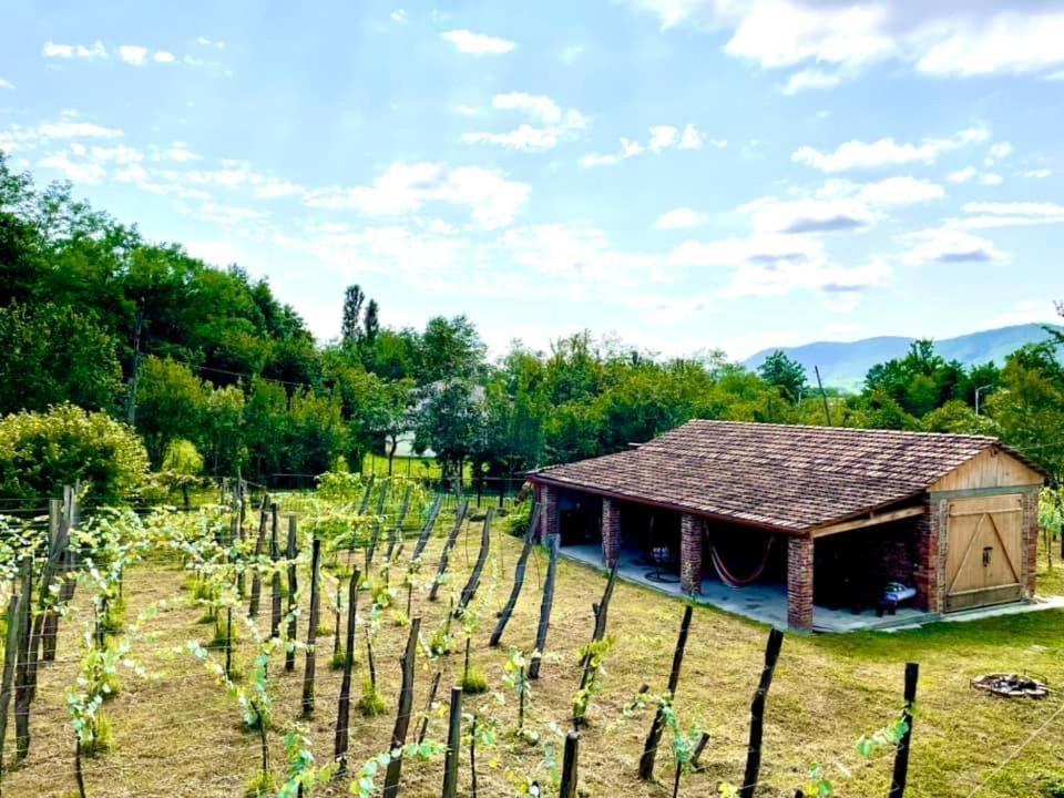 Martv'Elle Boutique Guesthouse Martvili Exterior photo